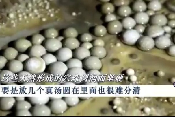 陕西天坑发现天然石元宵,这种石珠有观赏价值吗?