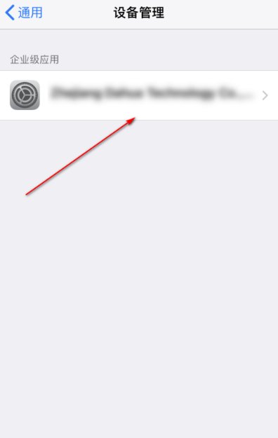 苹果手机无法验证应用需要互联网怎么办？