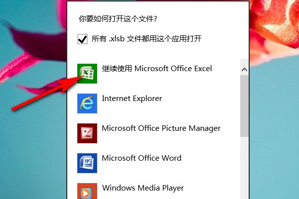 请问,XLS是什么文件?