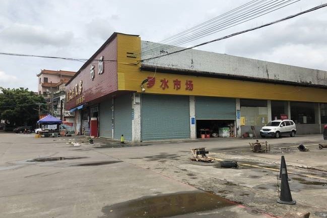 牵狗女孩称没看到老人被狗绳绊倒，那她为何要逃跑？