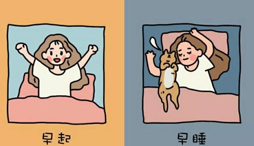 在大学宿舍里可以做哪些修身养性的事情?