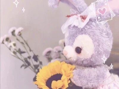 上海女生收藏数百只“星黛露”，她为什么会这么喜欢星黛露？