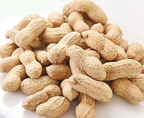 花生是不是国产植物油的第二大来源？