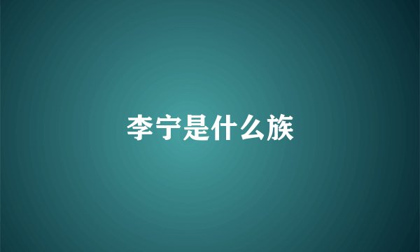 李宁是什么族