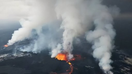 人类经历过几次灭绝?