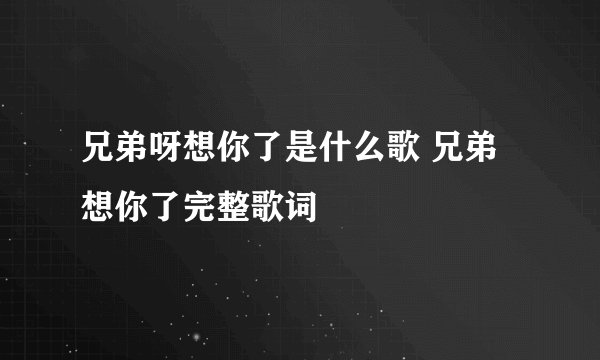 兄弟呀想你了是什么歌 兄弟想你了完整歌词
