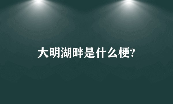 大明湖畔是什么梗?