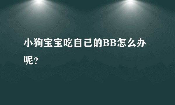 小狗宝宝吃自己的BB怎么办呢？