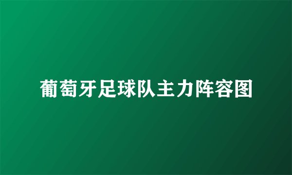 葡萄牙足球队主力阵容图