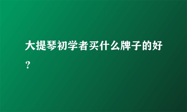 大提琴初学者买什么牌子的好？