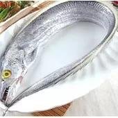 黄河鱽鱼现身黄河口，此类鱼已“消失”多长时间了？