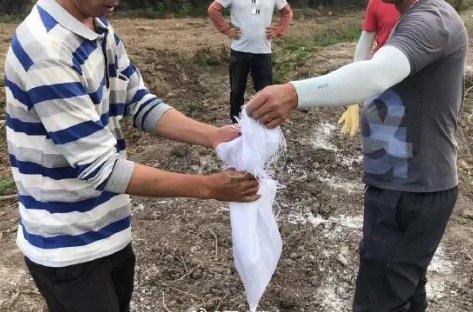 50斤重巨蟒在深圳龙岗区工业园蒸汽管下安家，这么大蛇为何会出现在城区？