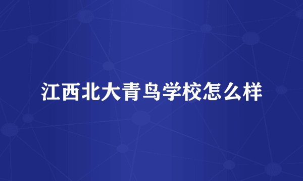江西北大青鸟学校怎么样