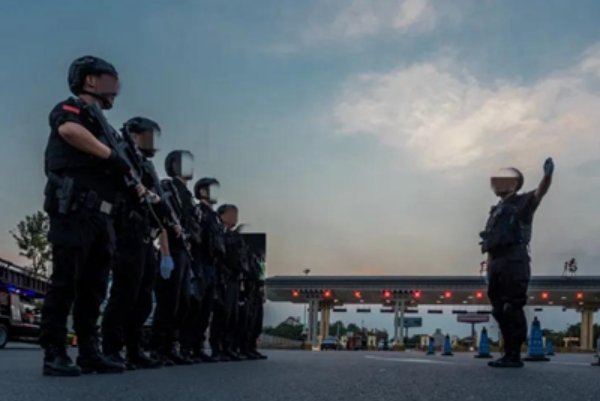 1982年云南什么成立第一支专业