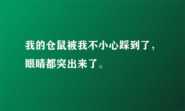 我的仓鼠被我不小心踩到了，眼睛都突出来了。