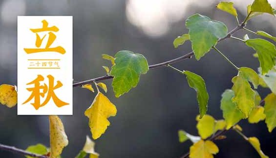 今年立秋具体的时间是几点几分