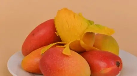 两颗芒果卖到1.2万元，这属于物超所值吗？