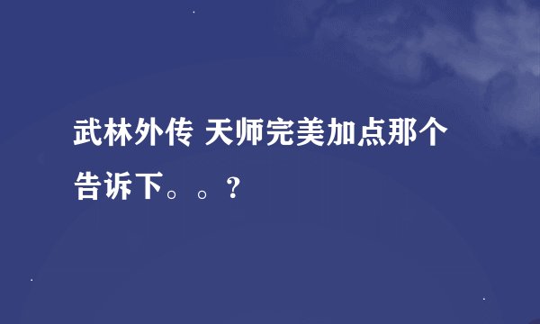 武林外传 天师完美加点那个告诉下。。？