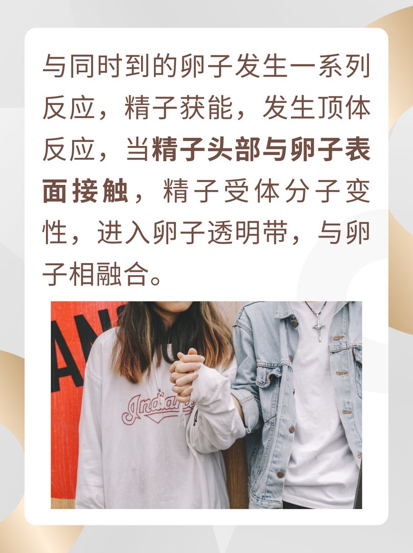 人是怎么配的种