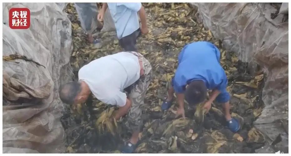 土坑酸菜”事件影响13万人生计,如何才能将事件的影响降到最低?