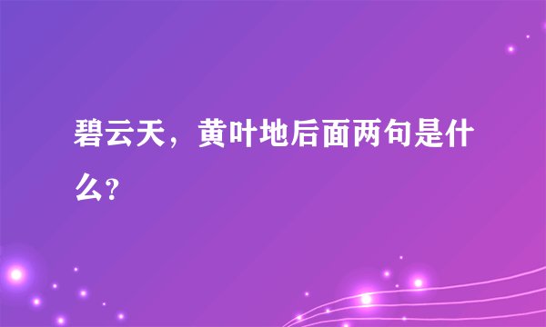 碧云天，黄叶地后面两句是什么？