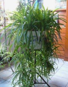 卧室门正对厨房门好不好？