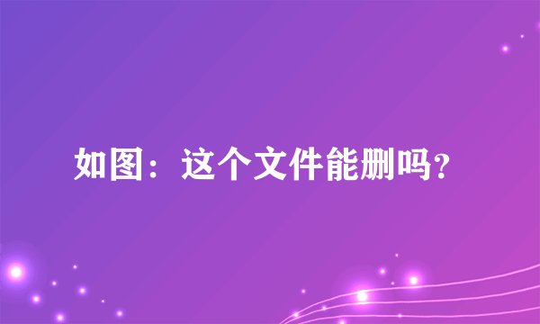 如图：这个文件能删吗？