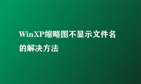 WinXP缩略图不显示文件名的解决方法