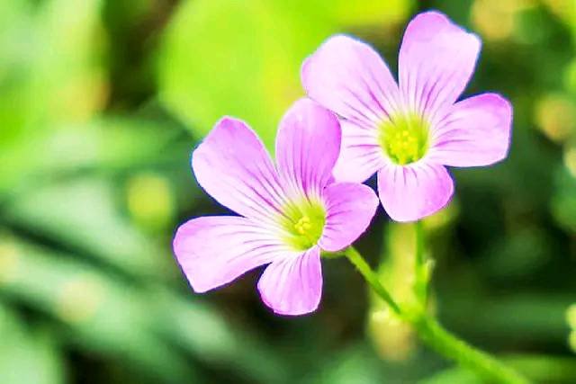 阅读王是什么？怎么最近总是听到有人讲这个