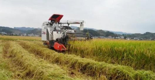 加快建设(),扎实推动乡村产业、人才、文化、生态、组织振兴。