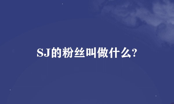 SJ的粉丝叫做什么?