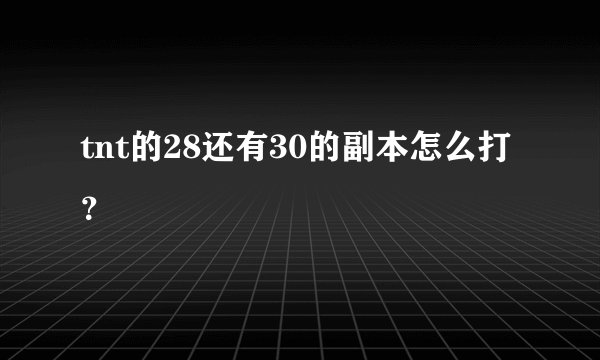 tnt的28还有30的副本怎么打？