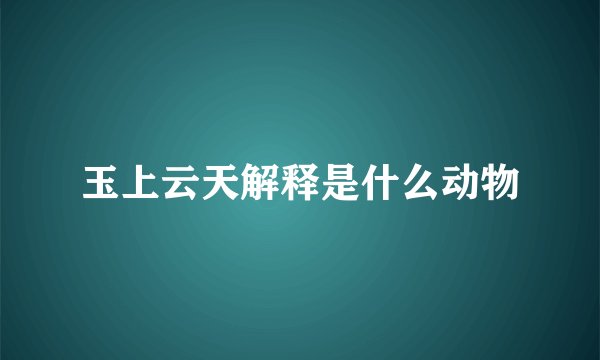 玉上云天解释是什么动物