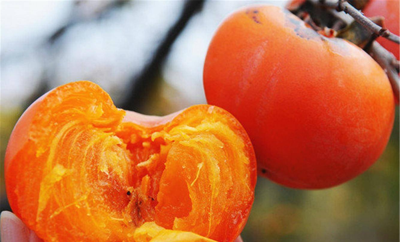 成都街头刮起柿子风，吃柿子的时候要注意哪些问题？