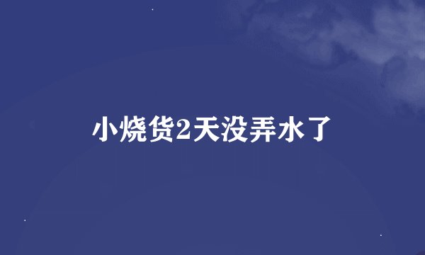 小烧货2天没弄水了