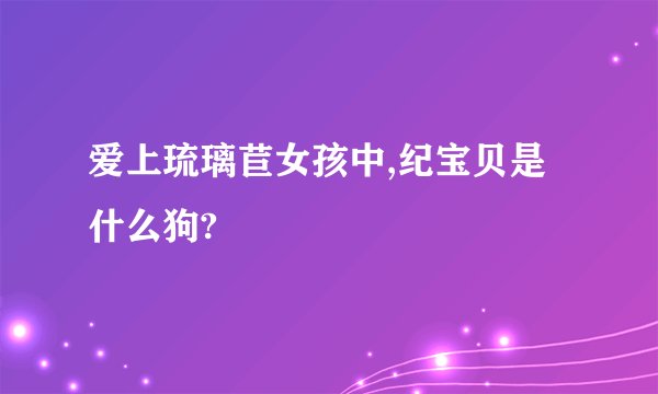 爱上琉璃苣女孩中,纪宝贝是什么狗?