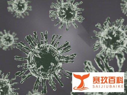 哈萨克斯坦出现不明原因肺炎，仍是冠状病毒
