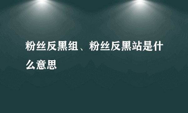粉丝反黑组、粉丝反黑站是什么意思