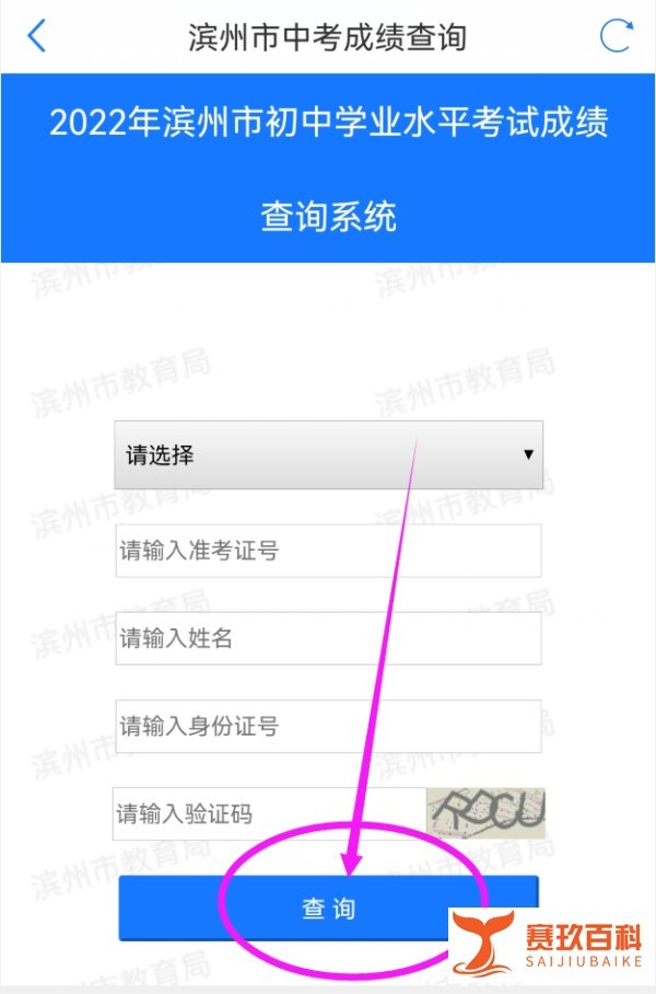 怎么能快速查到滨州的中考分数