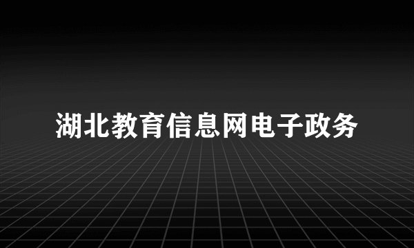 湖北教育信息网电子政务
