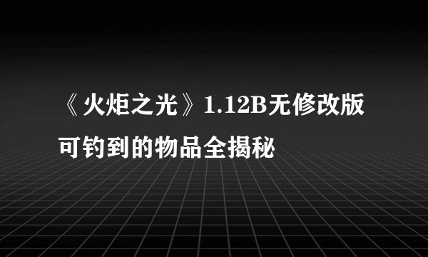《火炬之光》1.12B无修改版可钓到的物品全揭秘