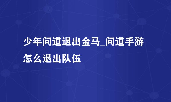 少年问道退出金马_问道手游怎么退出队伍