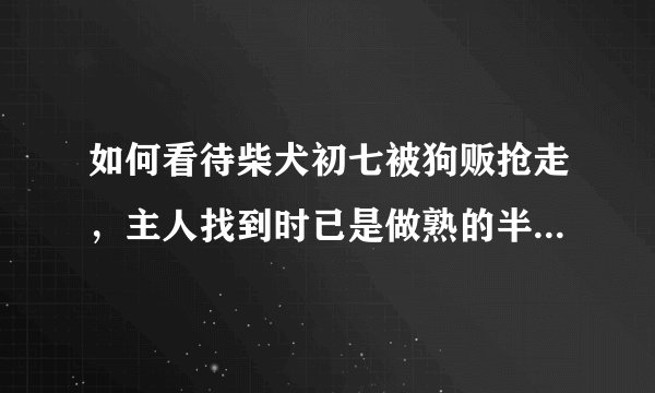 如何看待柴犬初七被狗贩抢走，主人找到时已是做熟的半只狗子？