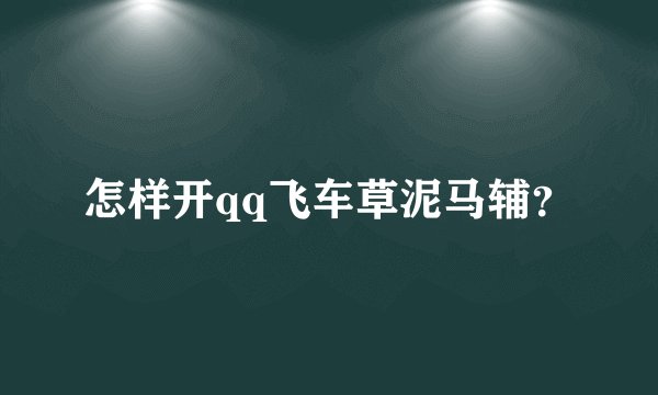 怎样开qq飞车草泥马辅？