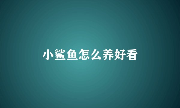 小鲨鱼怎么养好看