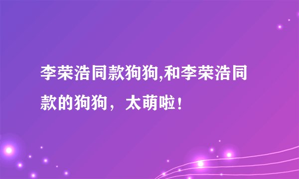 李荣浩同款狗狗,和李荣浩同款的狗狗，太萌啦！