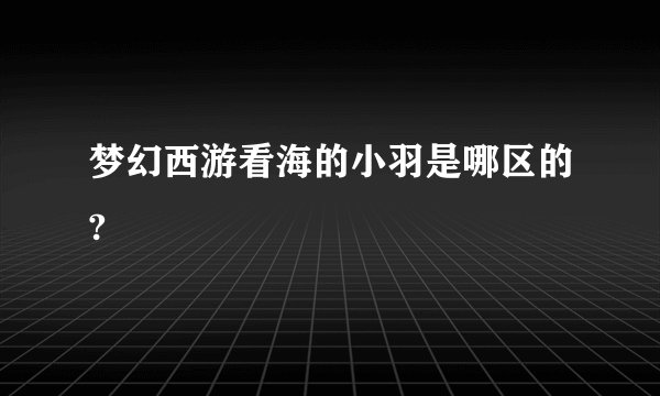 梦幻西游看海的小羽是哪区的?