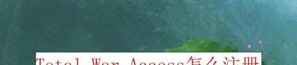 Total War Access怎么注册