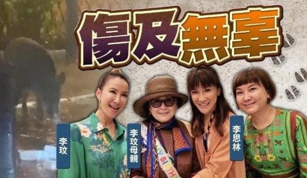 歌手李玟母亲遭野猪袭击，骨盆被撞碎右半身瘫痪，伤势严重需手术