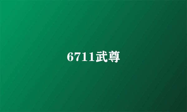 6711武尊
